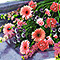 wedding flowers, bouqets, bridal