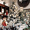 christmas, xmas, trees, decorating, decorate, festive