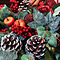 christmas, xmas, tree, decorating, decorate, festive