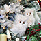 christmas, xmas, tree, decorating, decorate, festive