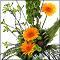 corporate, events, business, flowers, function, conference