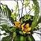 corporate, events, business, flowers, function, conference