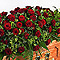 sympathy flowers, funerals, tributes