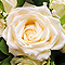 wedding flowers, bouquets, bridal