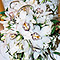 wedding flowers, bouquets, bridal